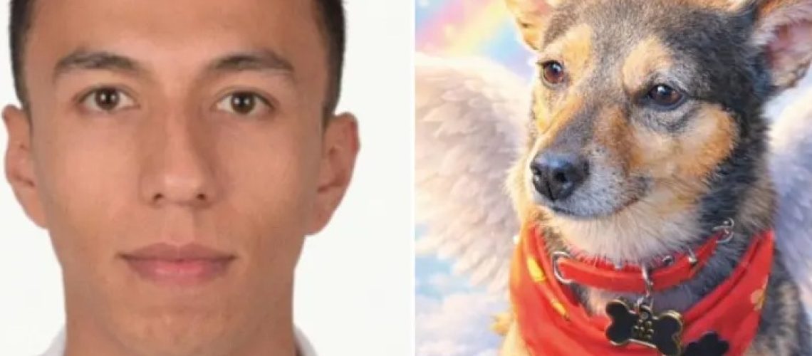 Imputan hombre señalado muerte perro Bogotá