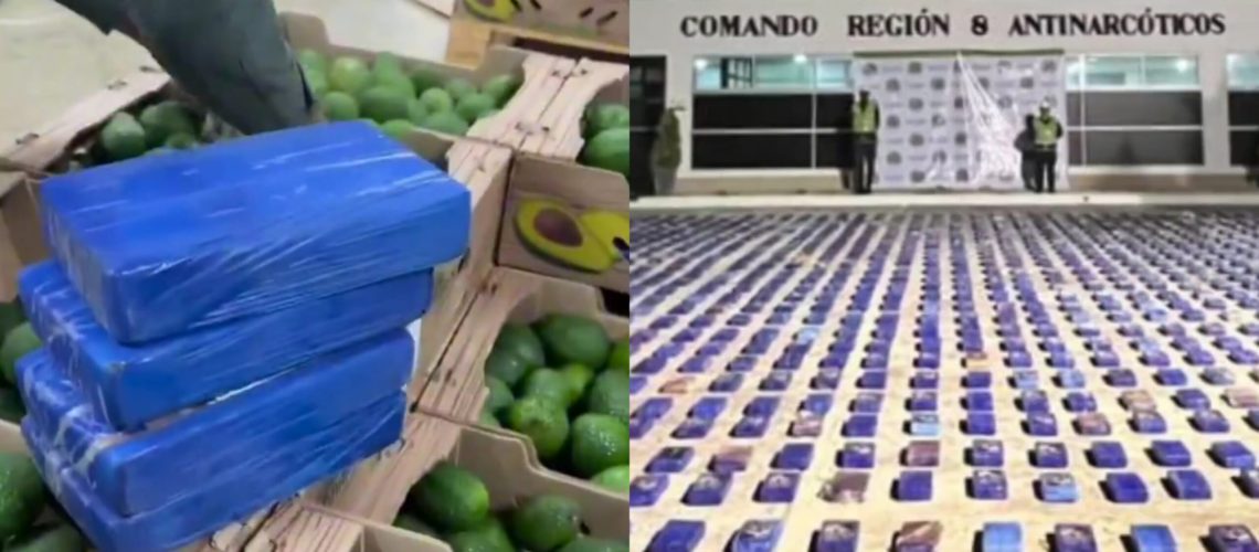 Narco aguacates Santa Marta