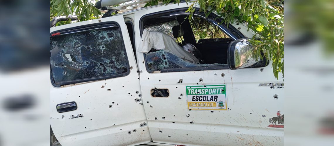 InShot_20241001_130811784