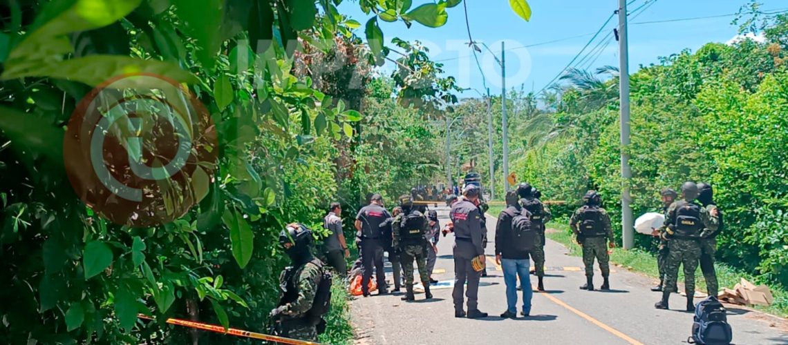 Entrega 30 armas de fuego alias Castor