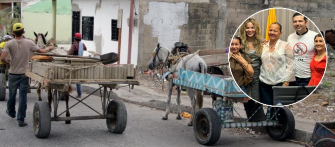 Prohibición vehículos de tracción animal Barranquilla