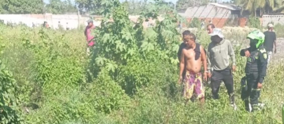 InShot_20250130_151045815