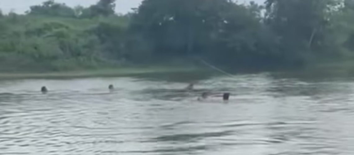 InShot_20251125_071009985