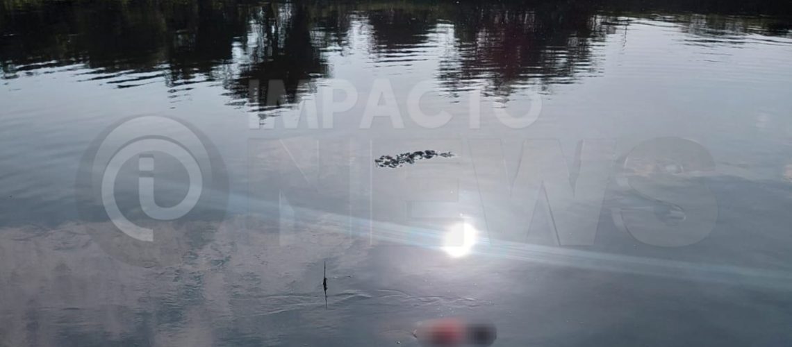 InShot_20260412_103020025