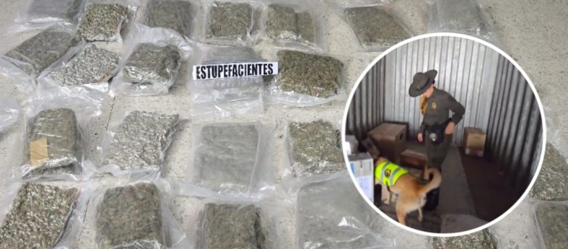 Incautan kilos de marihuana Barranquilla