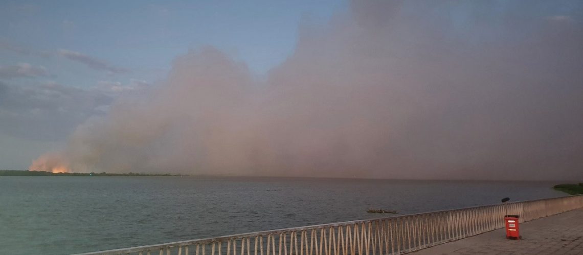 Incendio Isla Salamanca humo (1)