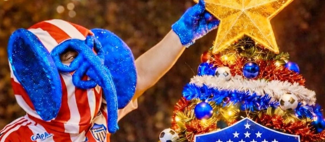 Junior y Navidad estrella 1