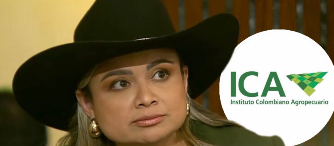 Lina María Garrido - ICA