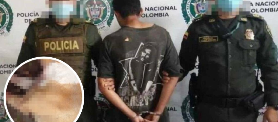 Mató a su perro para comérselo en Risaralda foto referencia perro