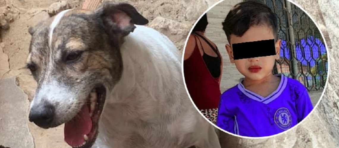 Menor herido perro La Sierrita (2)