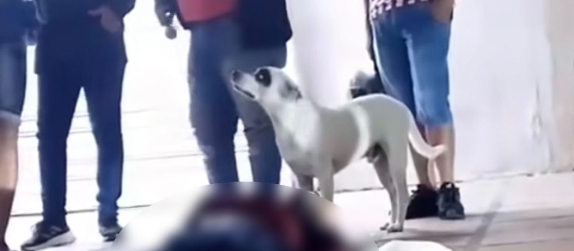 Muerte cuidador de perritos Simón Bolívar Barranquilla (3)
