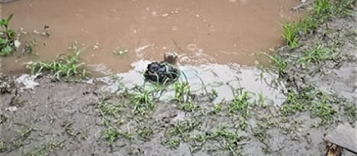 Niña de un año se ahogó en Santo Tomás (2)