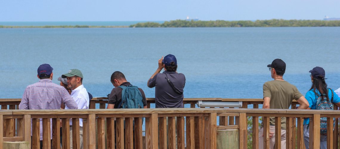 Observación de aves en Ciénaga de Mallorquín