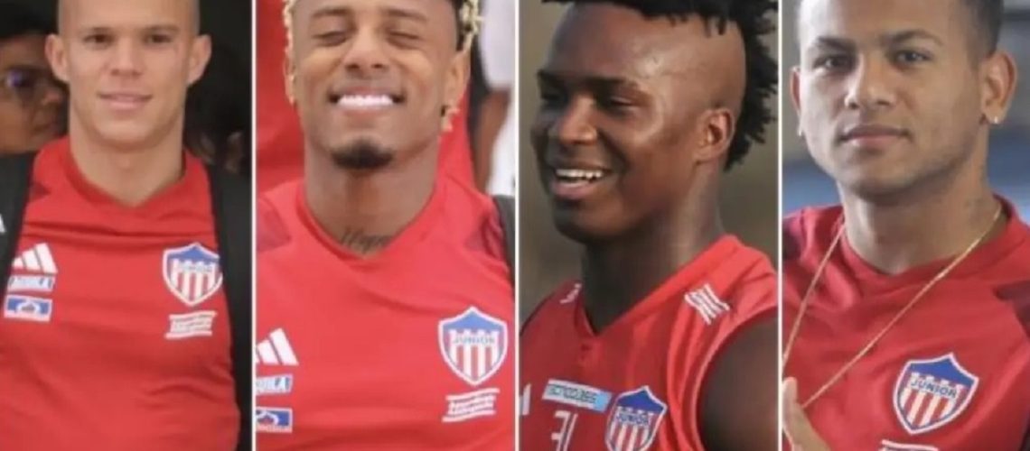 Pacheco, Albornoz, Ortiz y Haydar