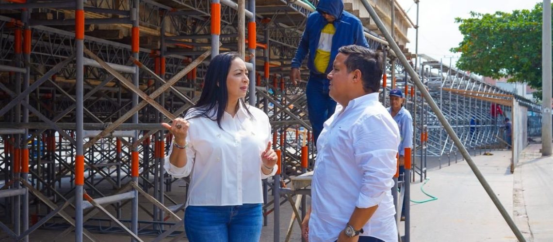 Palcos personas discapacidad Carnaval (3)