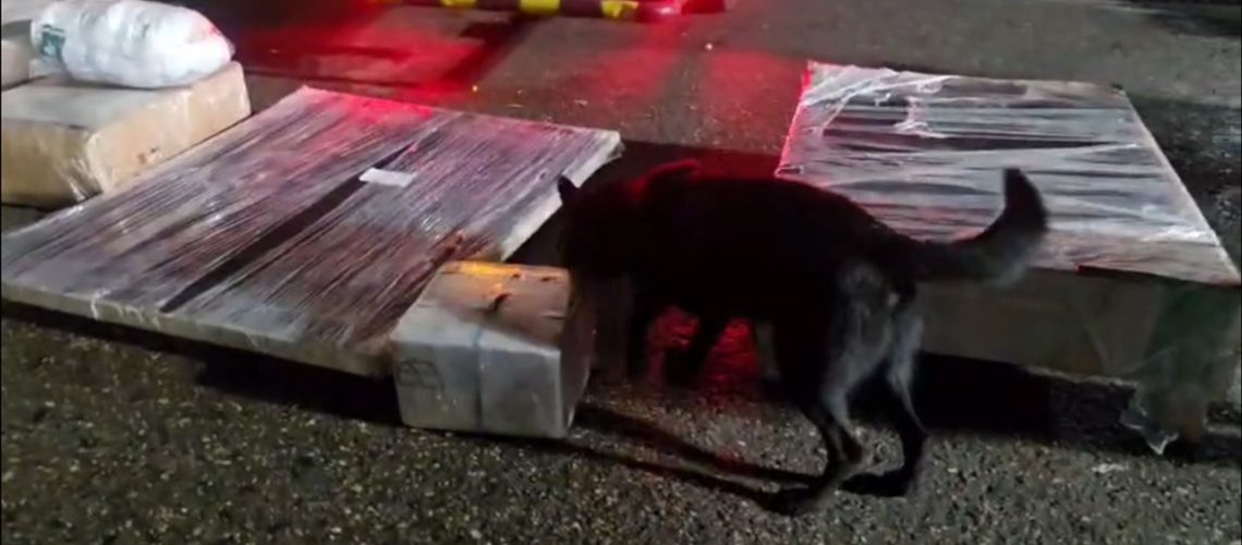 Perro descubre narco encomienda Cartagena (3)
