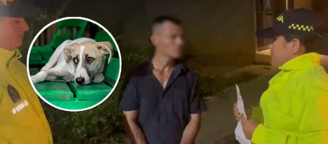 Primer judicializado poe acceso carnal a animal