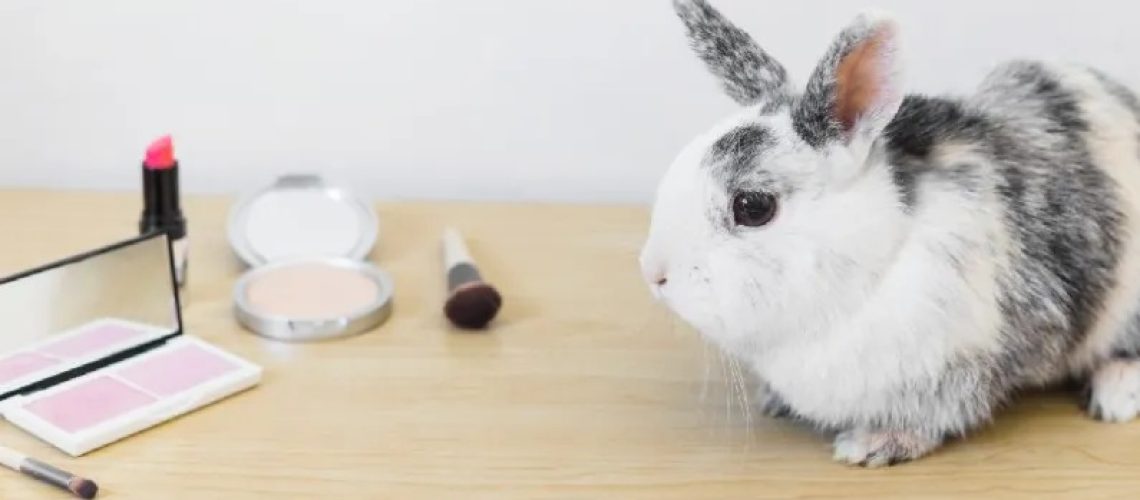 Prohiben pruebas cosméticos animales
