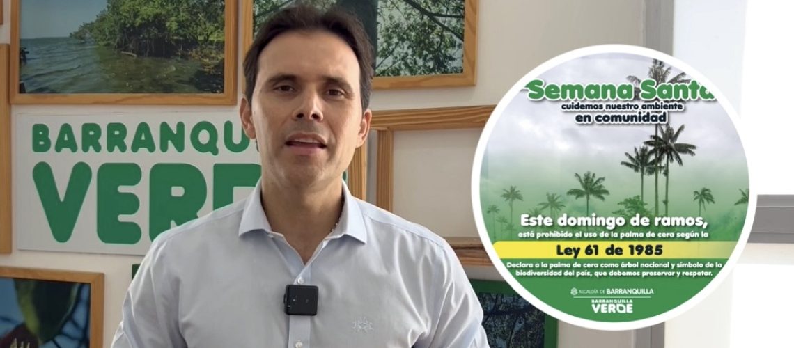 Prohibido uso palma de cera (2)