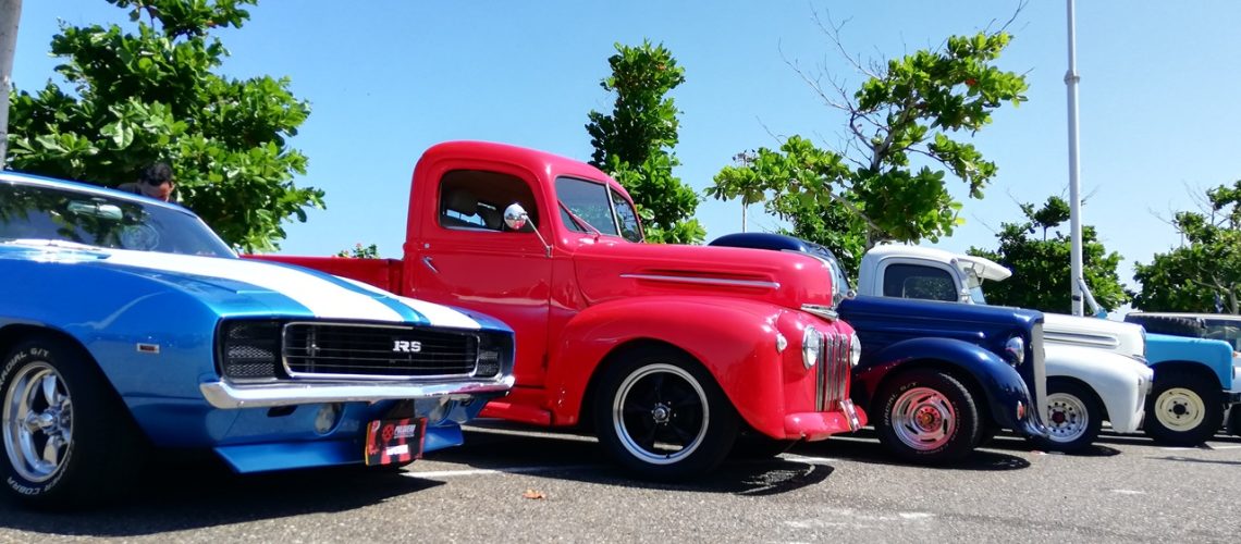 Pulguero Automotor Barranquilla (6)