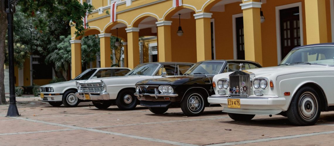 Pulguero Automotor