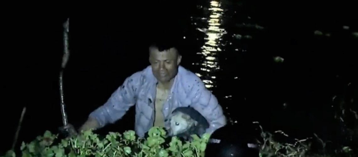 Reciclador rescató a perrita en Bogotá 1