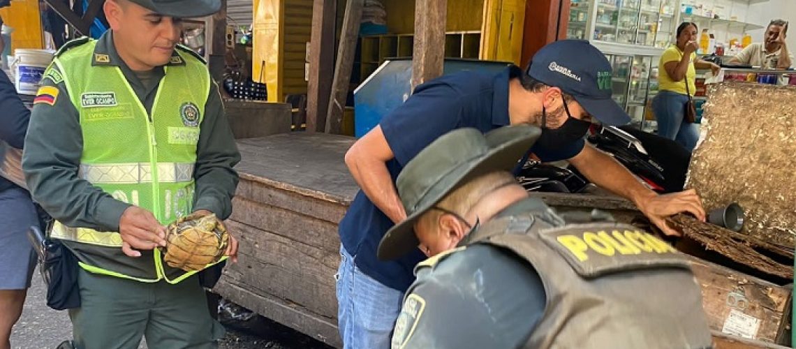 Rescatan especies silvestres Barranquilla