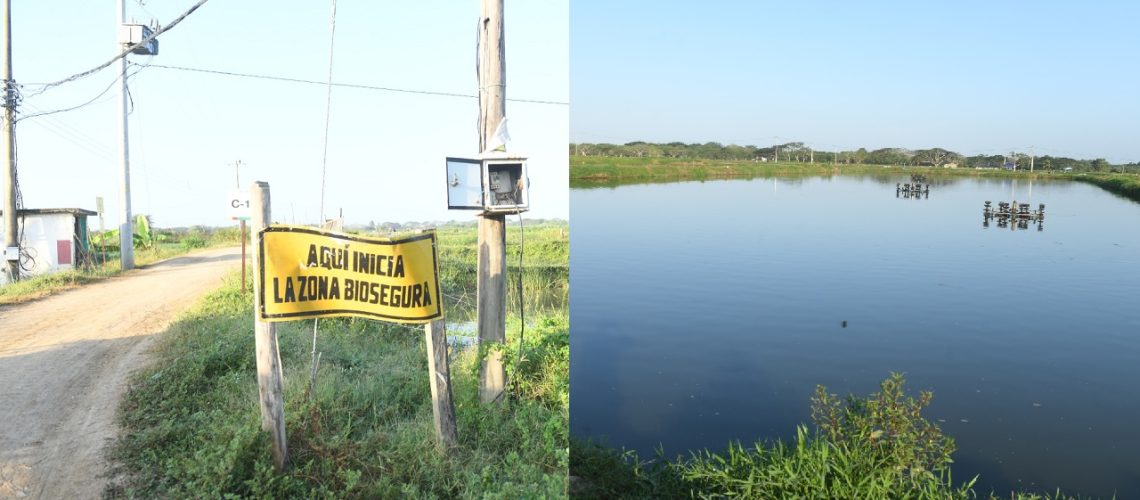 Transformador ilegal finca piscícola Atlántico (3)