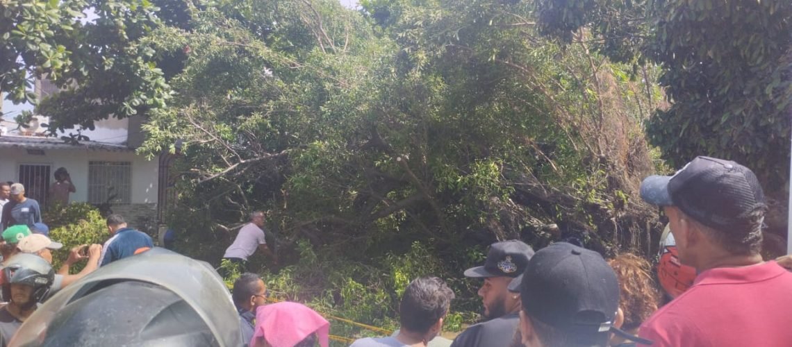 Mujer que le cayó árbol encima en la ciudadela 20 de Julio