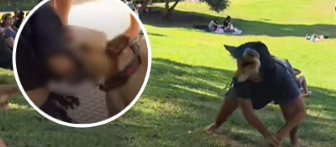 WhatsApp Image 2026-02-12 at 3.25.17 PM