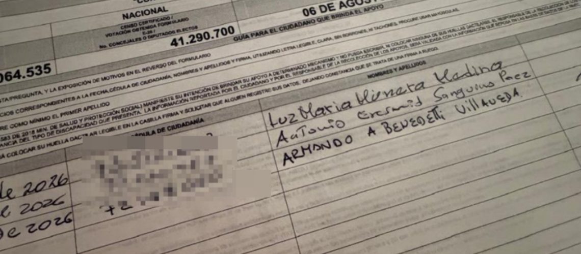 firmas constituyente