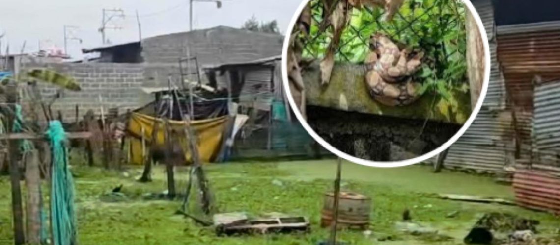 WhatsApp Image 2026-02-25 at 1.07.17 PM