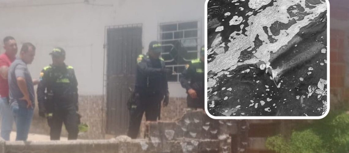 WhatsApp Image 2026-04-01 at 1.41.38 PM