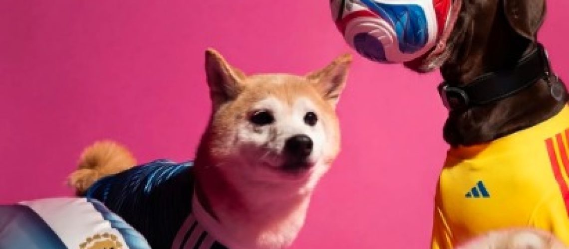 WhatsApp Image 2026-04-30 at 3.18.17 PM