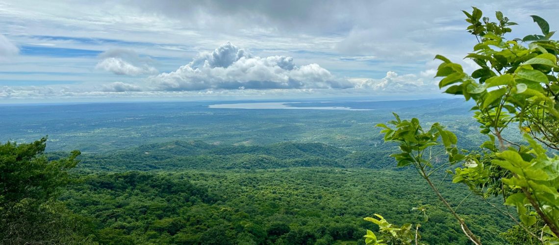 a7db212c-c2b9-4dac-9ebe-ebcd8e02bef7