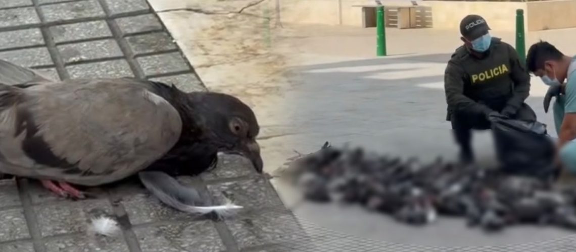 b85a69c6-7fab-41a0-bffc-5f0c8faffd5f