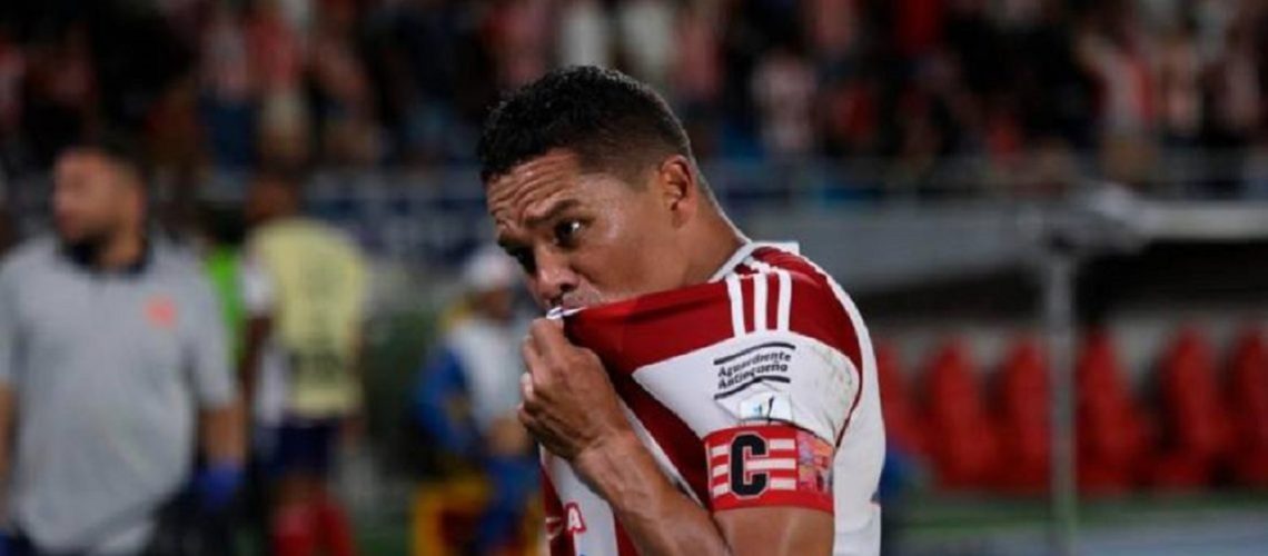 bacca renovado