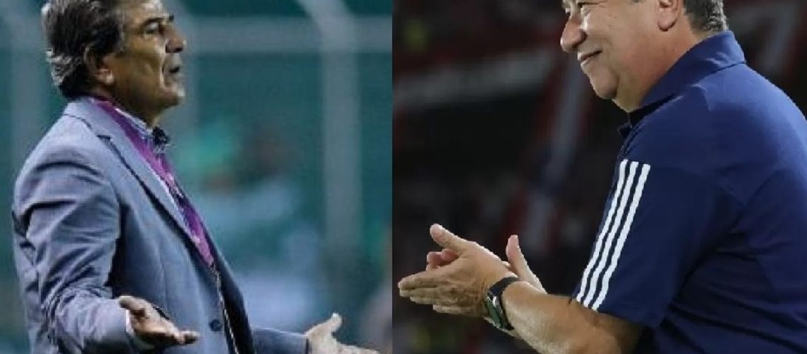 bolillo vs pinto
