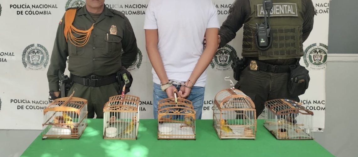 cbe2d2d3-f960-4d95-a15b-c1011a9163f0