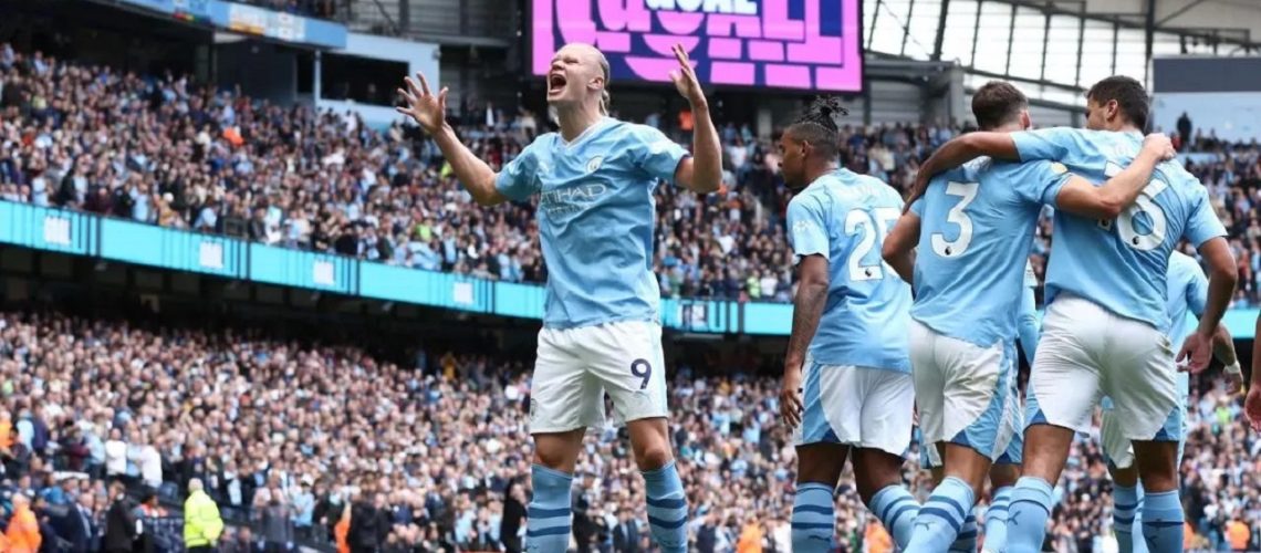 erliin haaalda bestia