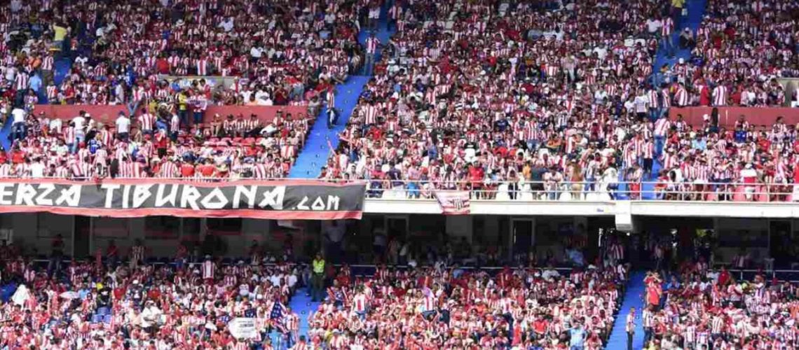 hinchas_junipor-compressed