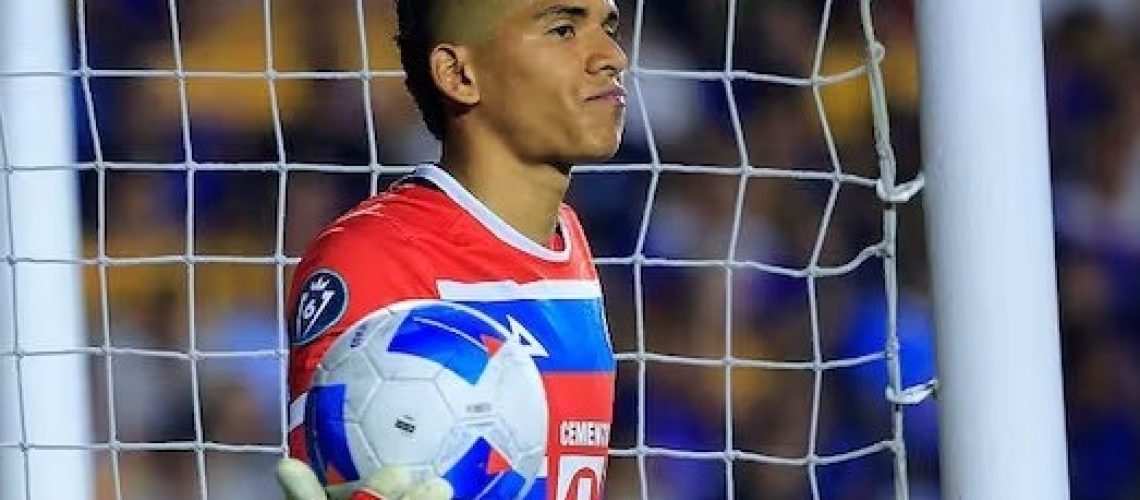 mier goelado Mediano