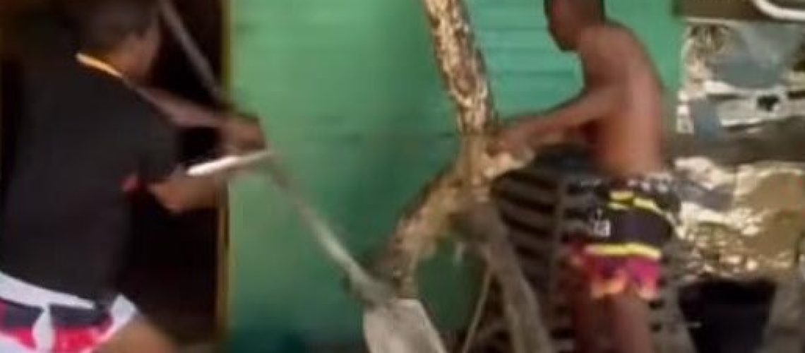 pelea de espadas Mediano