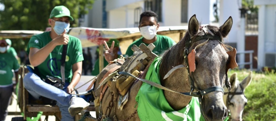 vehículo de tracción animal 1